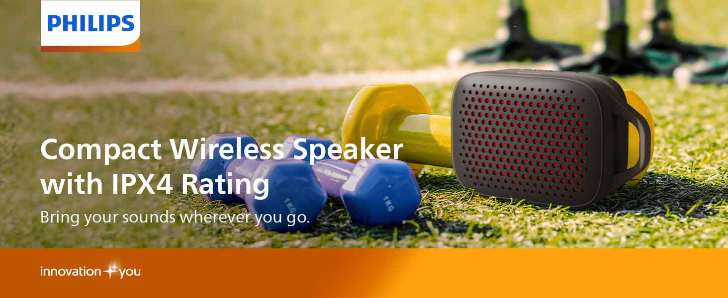 wireless speaker