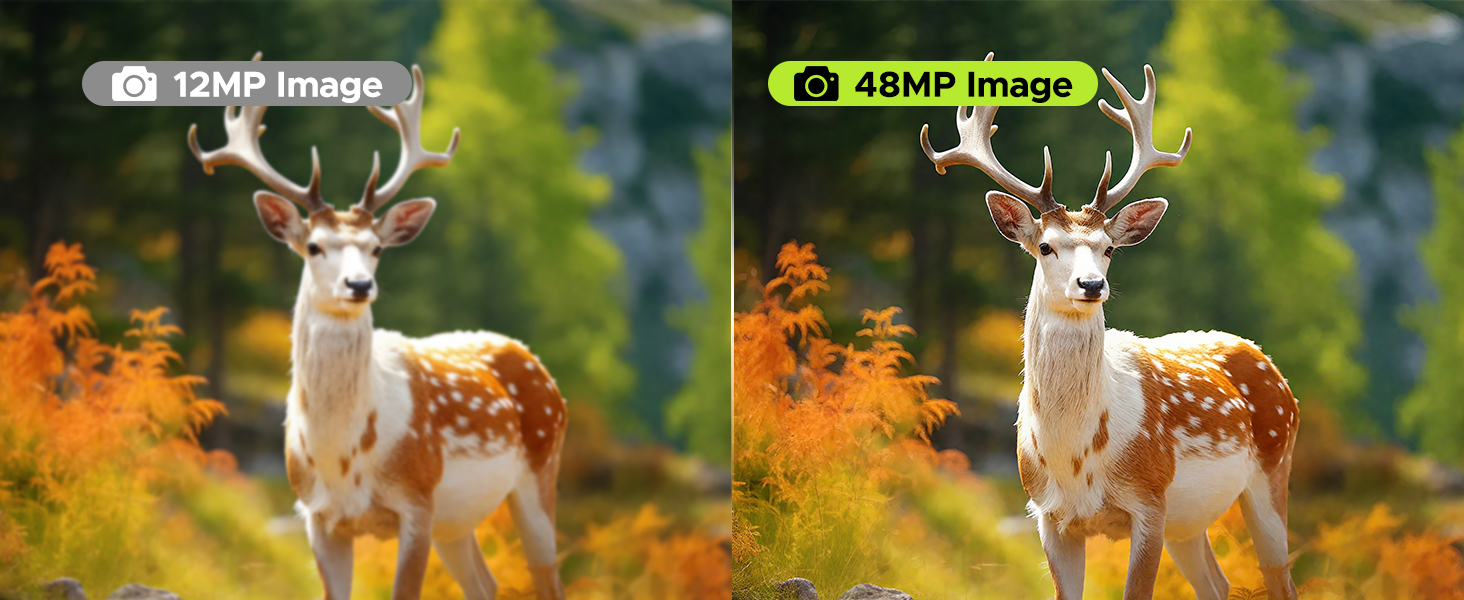 Night Vision Goggles