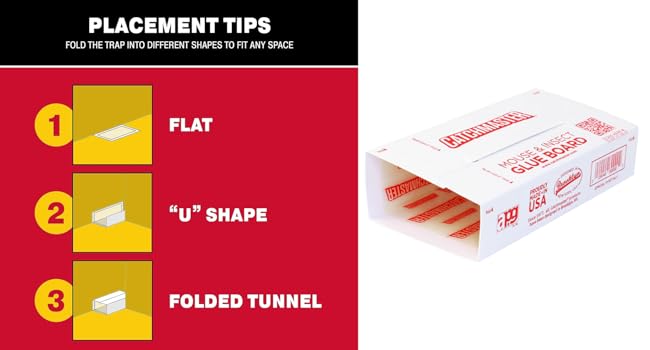 baited glue trap mouse insect trap