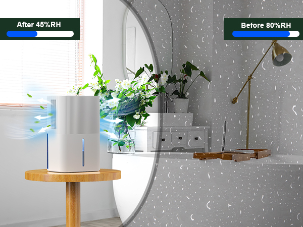 closet dehumidifier dehumidifier dehumidifier drain hose dehumidifier for basement