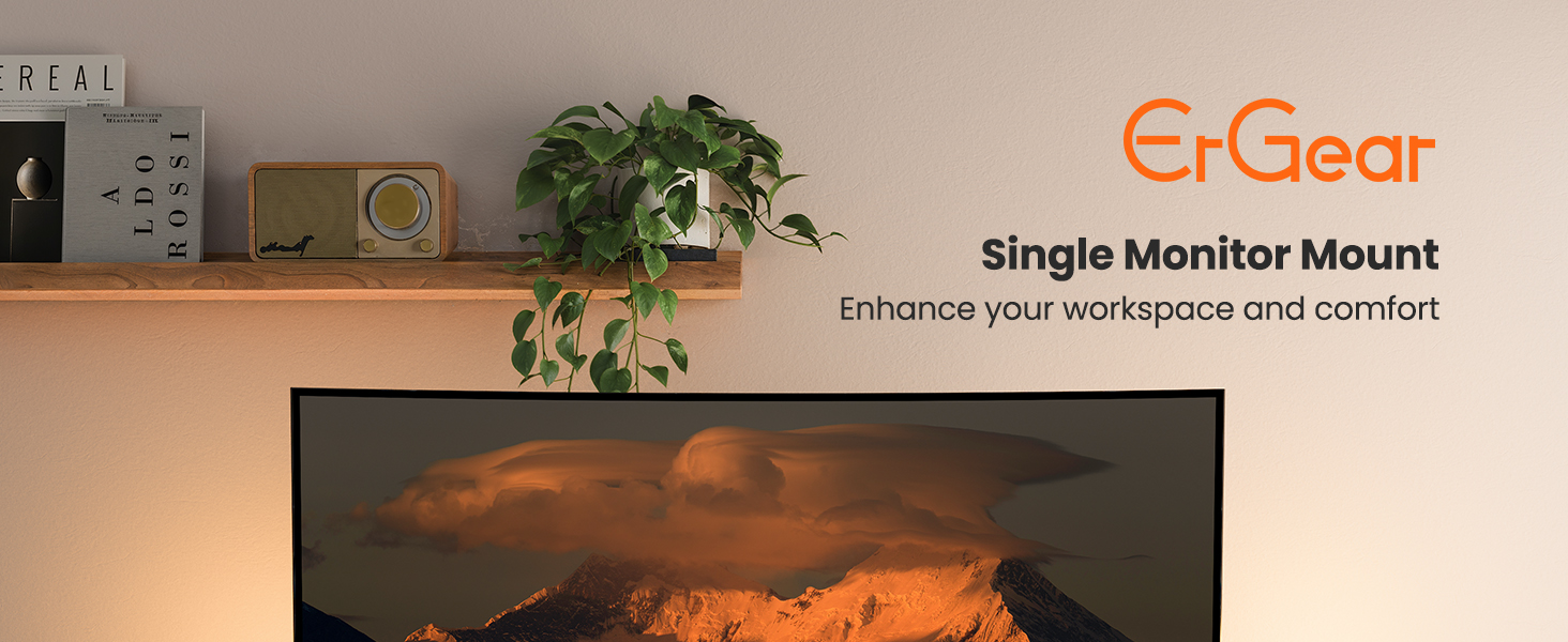 ErGear monitor mount