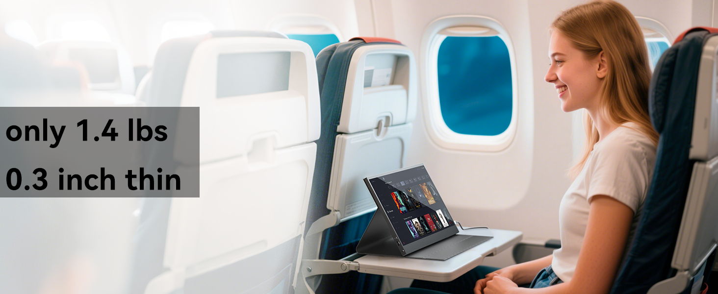 portable monitor travel