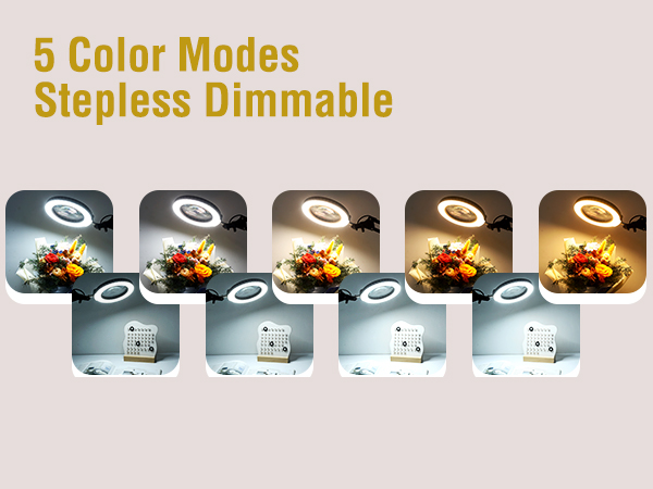 Adjustable lighting with memory function