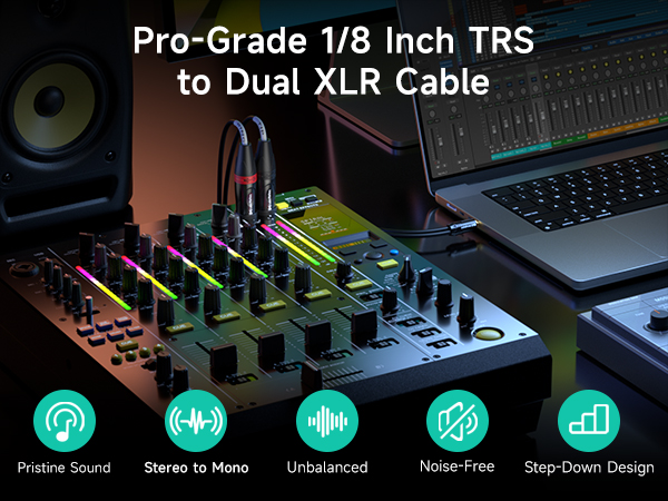 TRS to Dual 6.35mm TS Breakout Cable