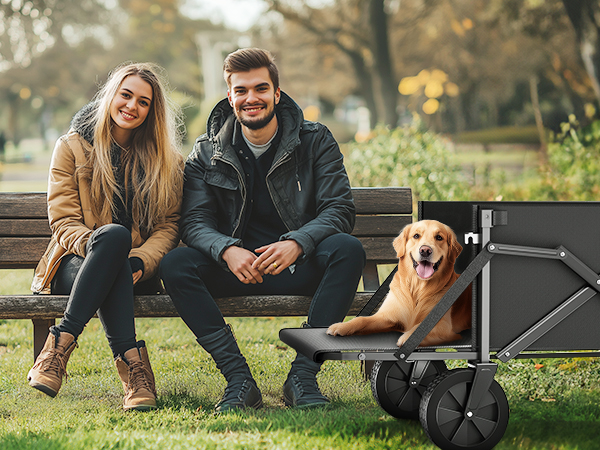 wagon cart