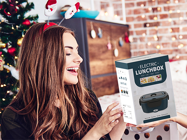 electric lunch box