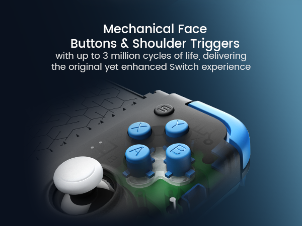 Mechanical Button