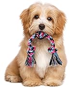1 Pack Small Dog Rope