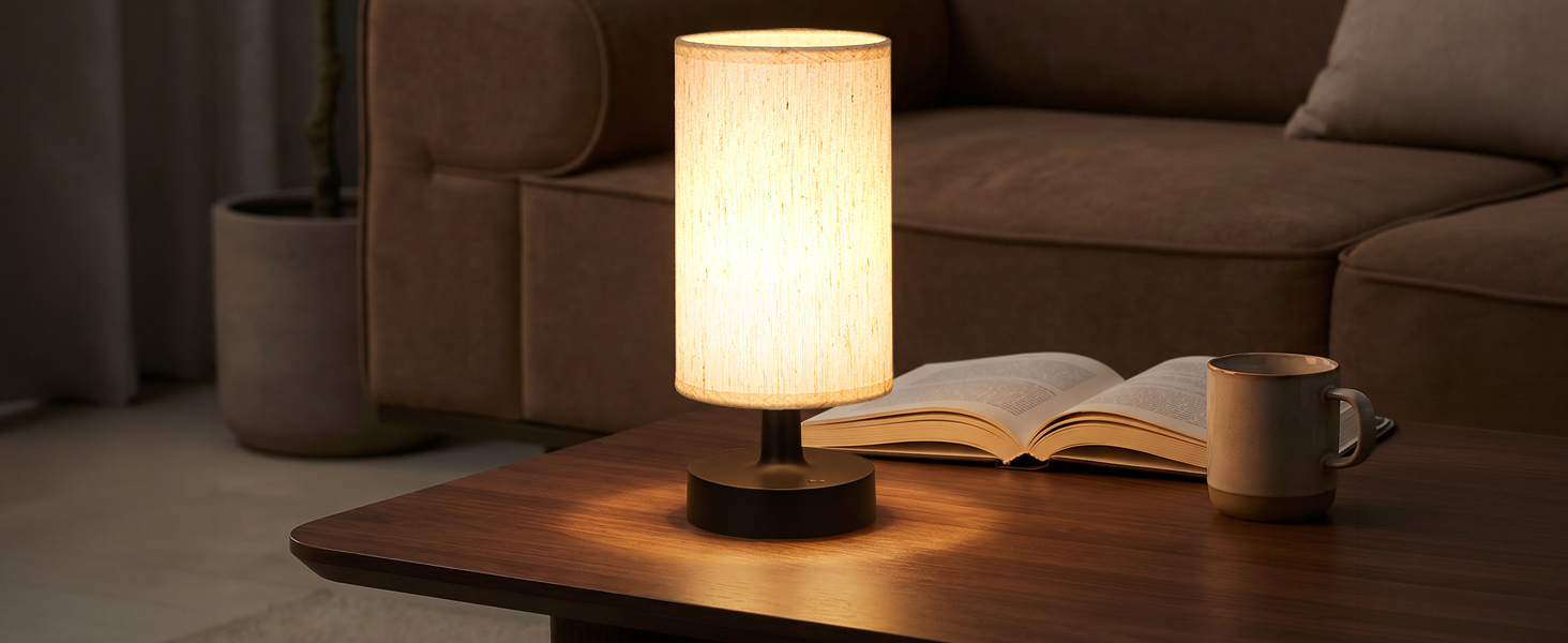 battery operated lamp