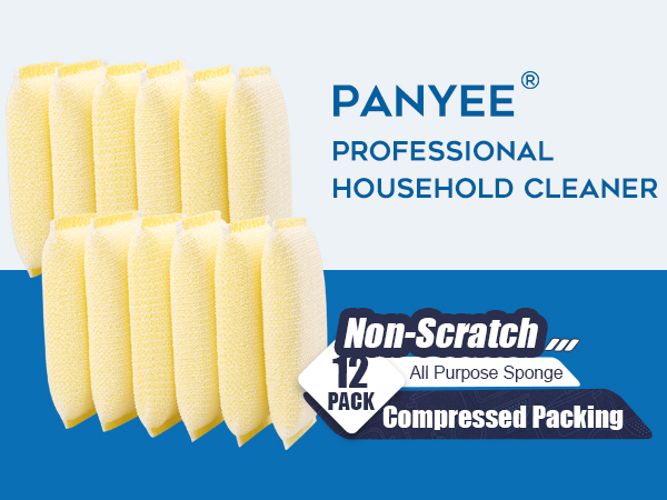 household sponge