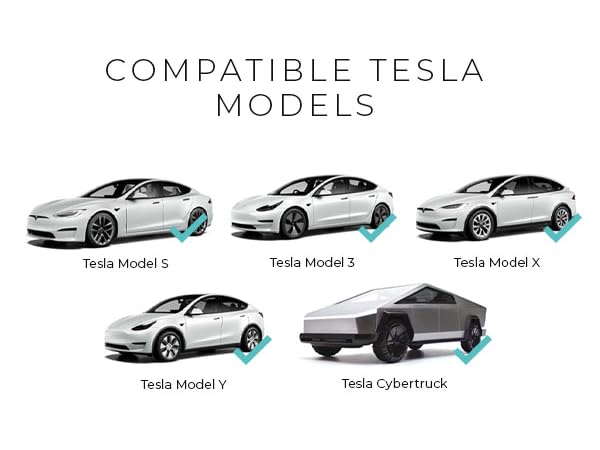 Expand your charging horizons with the Lectron J1772 to Tesla Adapter