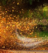 leaf blower