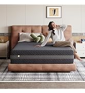 Novilla 14 Inch Queen Size Mattress, Queen Gel Memory Foam Mattress with Green Tea-Infused Foam f...