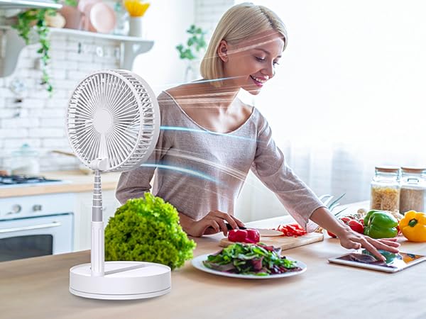 house fan room fan kitchen fan desktop fan