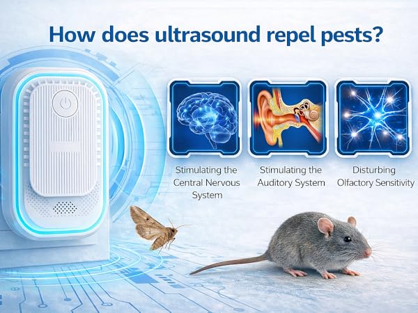 How ultrasonic pest repeller works on pests
