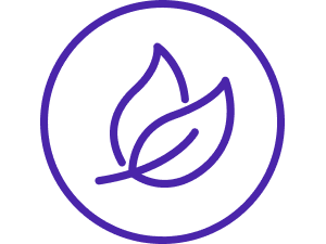 Lume Laundry, Sustainable