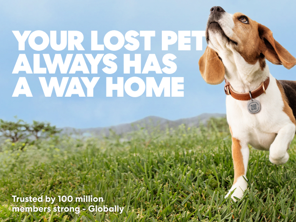 Your Lost Pet Always Has a Way Home.