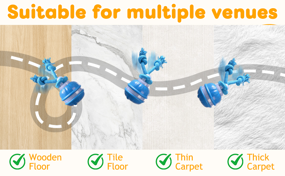 interactive cat toys
