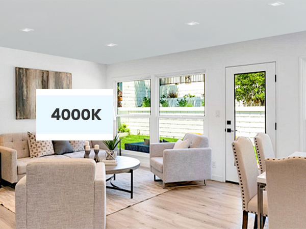 4 inch square can light 