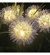 4PK 32LED Solar Garden Lights Outdoor, Dandelion Solar Lights Outdoor, IP65 Waterproof Firefly Li...