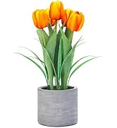 Jusdreen 1 Pot Artificial Potted Tulips Flowers with Cement Vase Vivid Tulip Flowers Arrangement ...