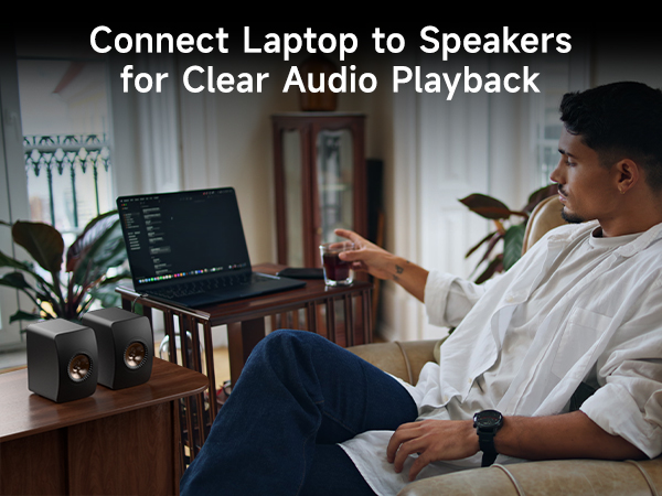 TRS to Dual 6.35mm TS Breakout Cable