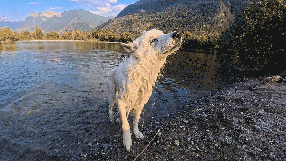 Insta360 GO Ultra Action Camera