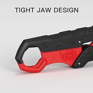 jaw