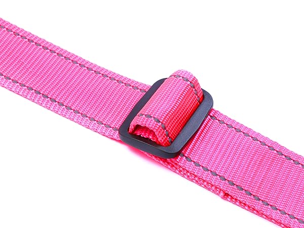 Adjustable carabiner for creating a fitted dog harness