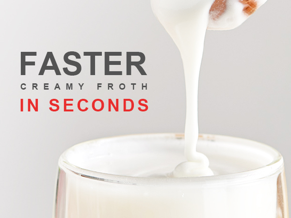 Whisk Frother
