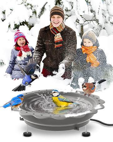 Heated Bird Baths for Outdoors
