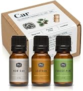 P&amp;J Trading Car Trio Set of 3 - New Car, Leather &amp; Forest Pine - Premium Concentrated Trio Set fo...