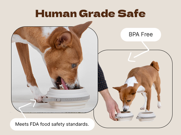 BPA-FREE &amp; Food Safe