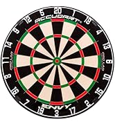 AccudartDartboard