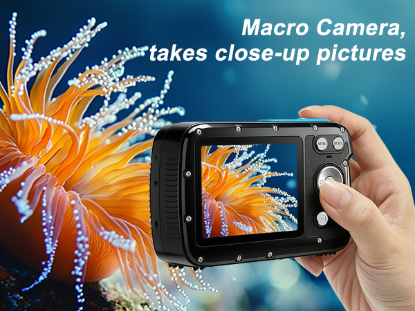 Take close-up pictures
