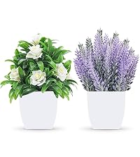 https://m.media-amazon.com/images/S/aplus-media-library-service-media/757b90d1-f099-443a-a136-22508c5c2dfe.__CR0,0,800,900_PT0_SX200_V1___.jpg