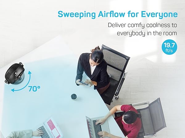 Circulating fan oscillating