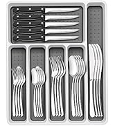 49-Piece Silverware Set with Organizer, Heavy Duty Stainless Steel Flatware Set for 8, Cutlery Ut...