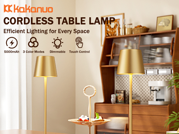 battery operated lamp