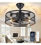 DLLT Caged Ceiling Fan with Light: 20" Farmhouse Fandelier with Lights and Remote &amp; APP - Black R...