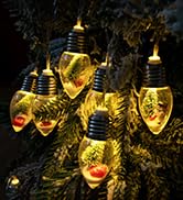 snow globe lights