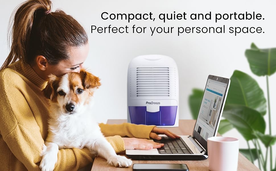 mini dehumidifier