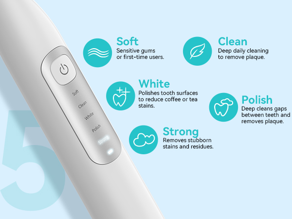 electric toothbrush and water flosser combo