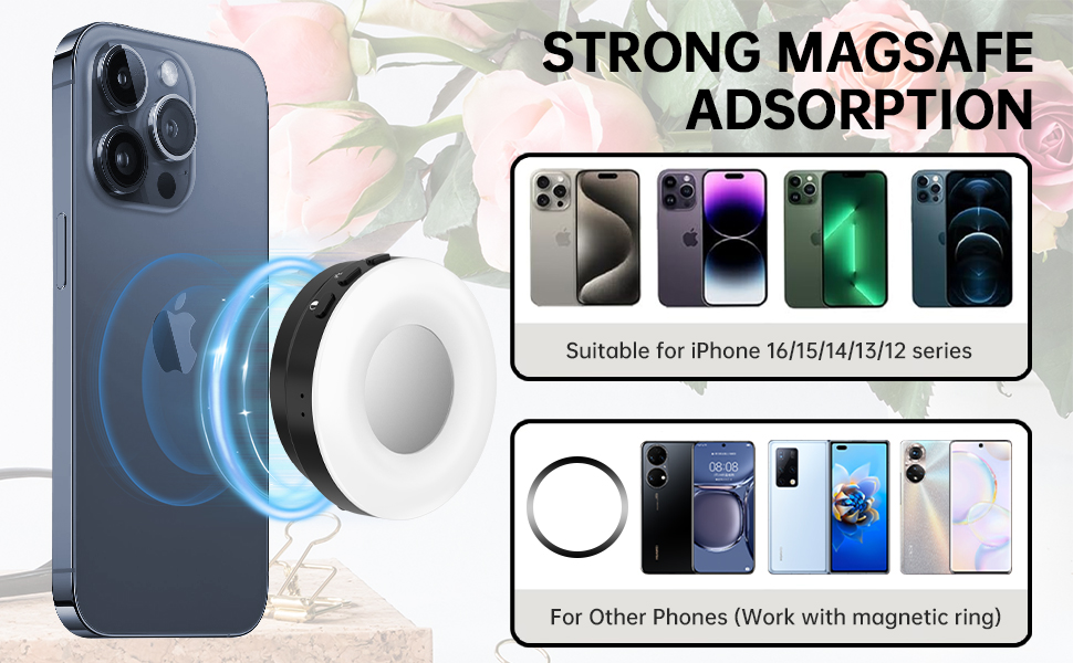 Strong Magasfe Adsorption