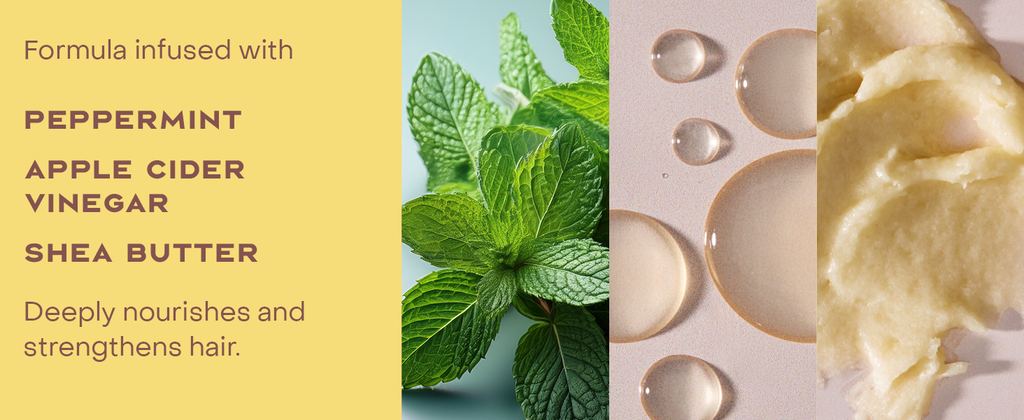 Image of some formula ingredients like peppermint, apple cider oil &amp;amp;amp; shea butter.