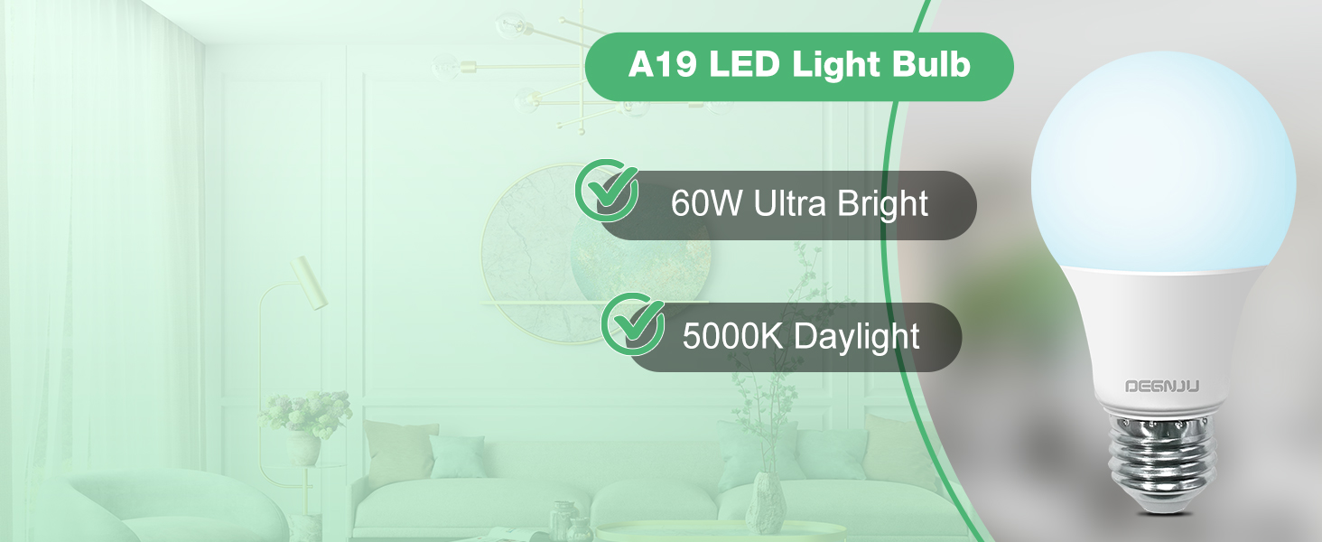 A19 LED Bulbs 60 Watt