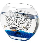 hygger Mini Glass Oblate Fish Bowl Kit, Small Fish Tank Comes with Blue Aquarium Decor Stones and...