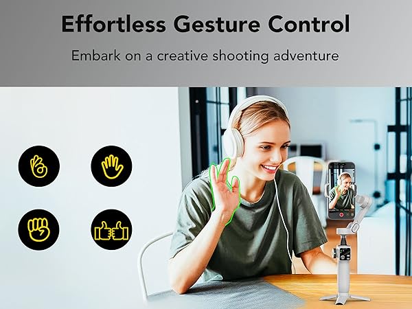 Gesture Control