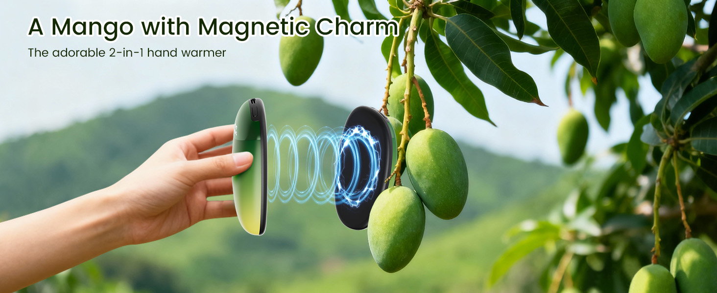 portable wireless heater