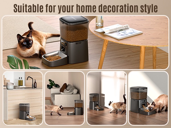 auto cat feeder